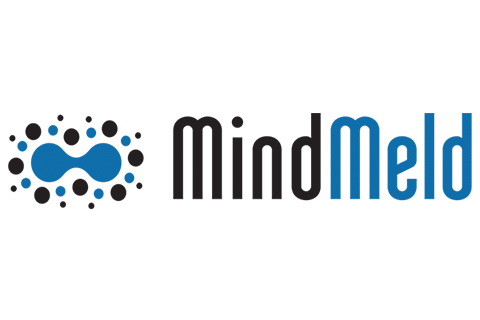 Logo for MindMeld